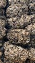 Brown and Black Dried Fruits