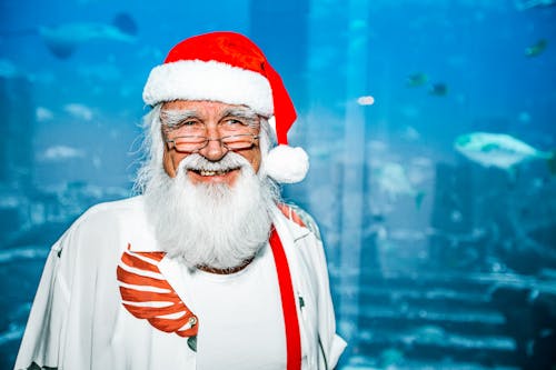 Kostnadsfri bild av glasögon, jultomten, leende