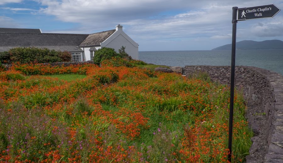 Anneau du Kerry