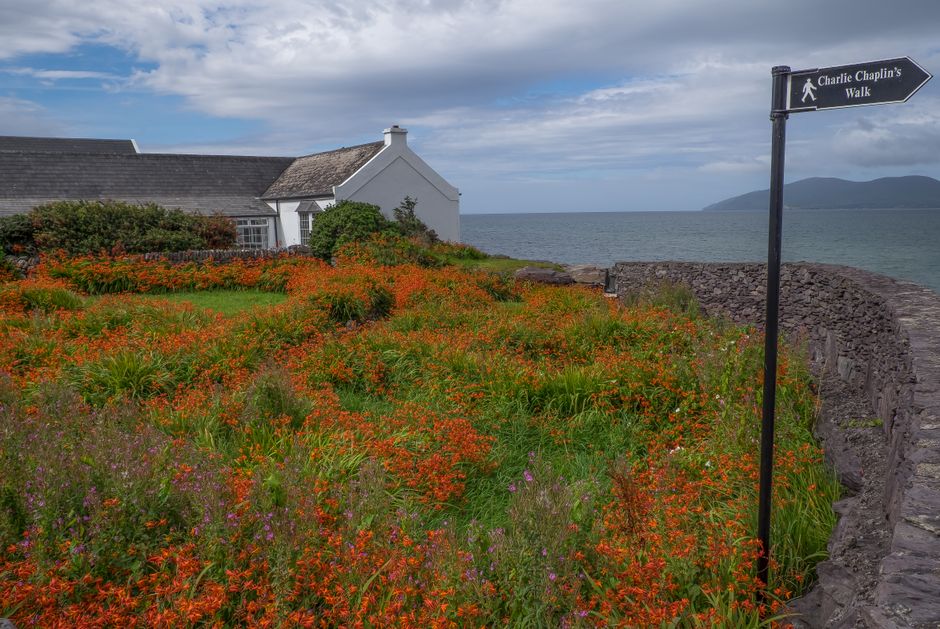 Foto de Ring of Kerry