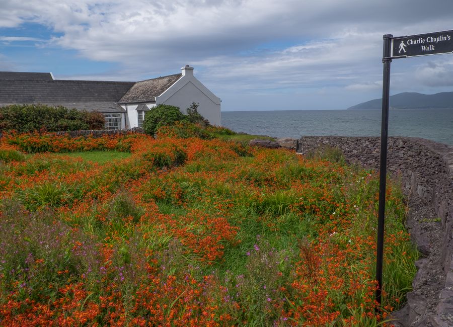 Scenic view of a cottage by Charlie Chaplin's Walk in Waterville, Ireland, with vibrant wildflowers.