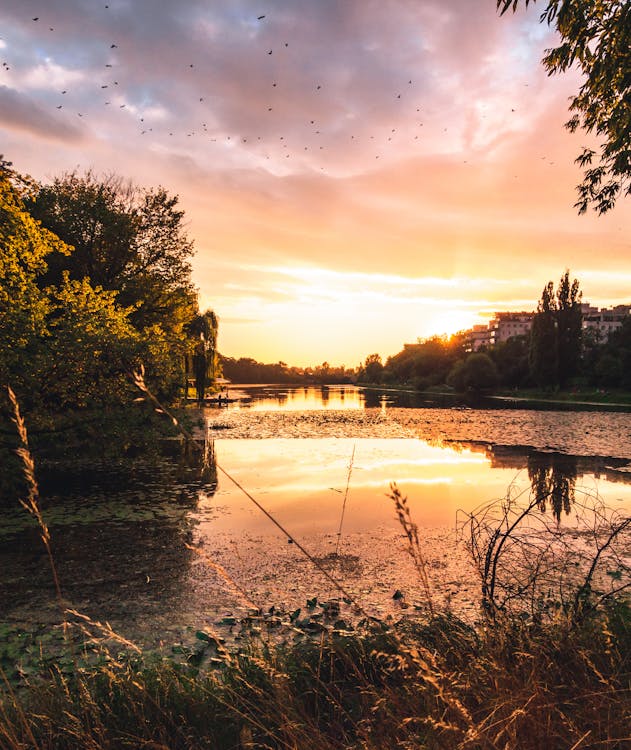 Foto profissional grátis de blask słońca, ciepła pogoda