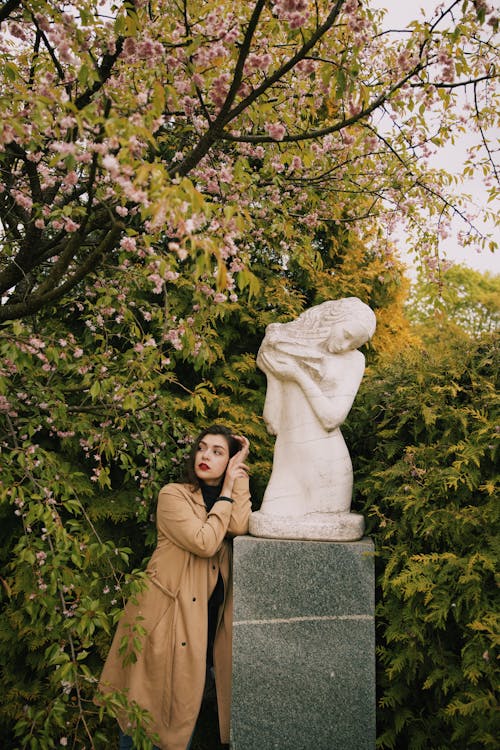 Immagine gratuita di alberi, donna, giardino