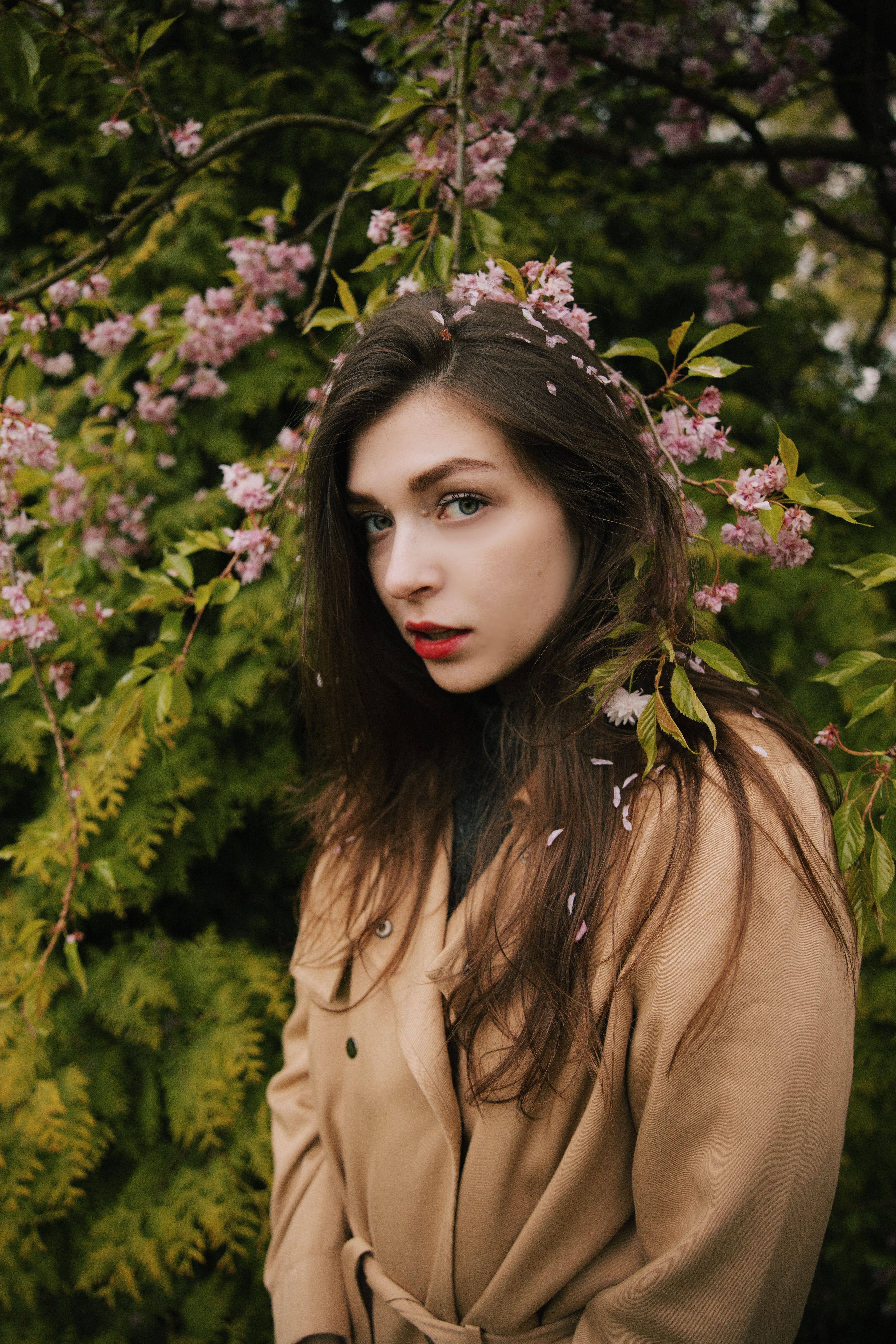 Photo of Woman in Brown Coat Standing Near Pink Flowers · Free Stock Photo