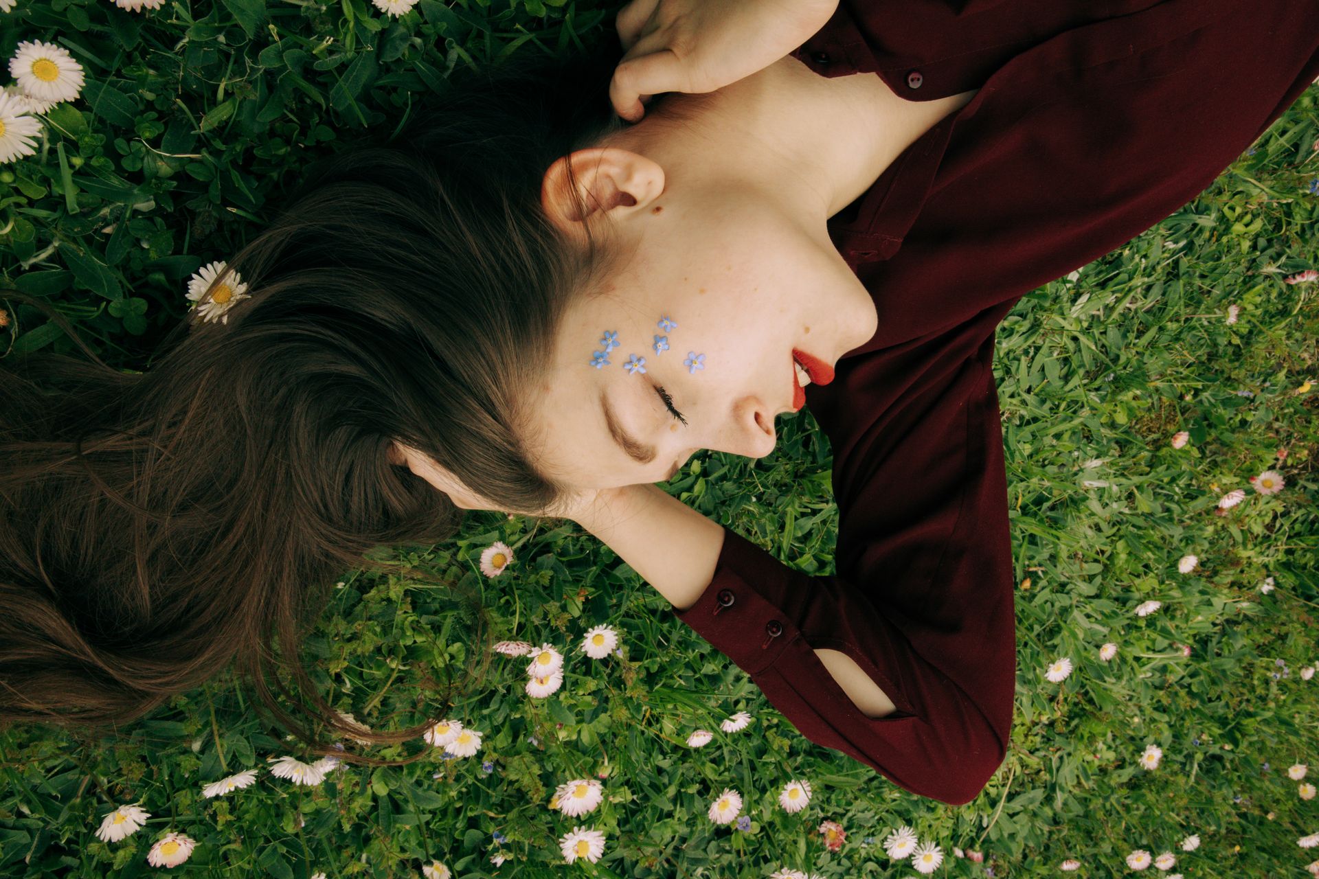 Woman in Red Long Sleeve Shirt Lying on White Flower Field