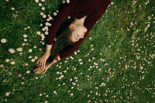 Woman in Maroon Long Sleeve Shirt Lying on White Flower Field