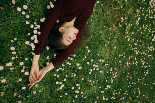 Woman in Maroon Long Sleeve Shirt Lying on White Flower Field