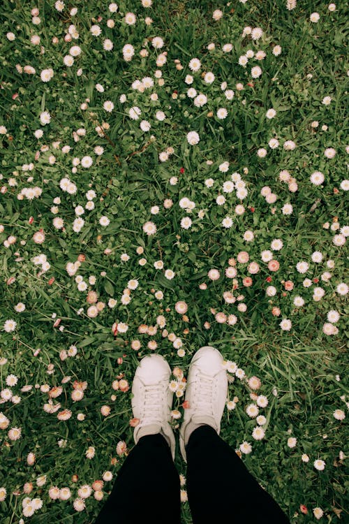 Person in White Shoes Standing on Green Grass Field