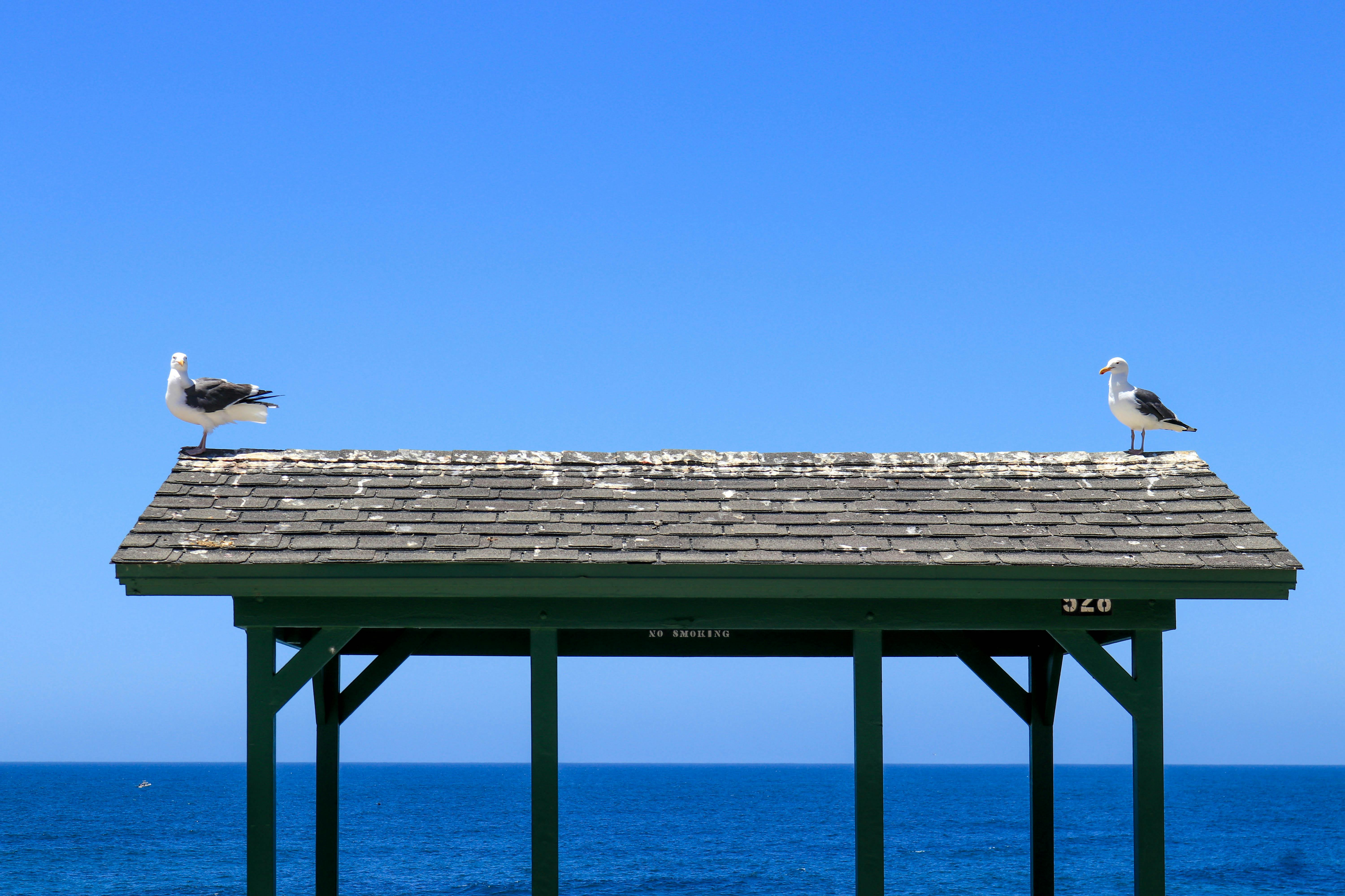 A colorful smoothie bowl with fruit and seeds, representing modern wellness foods