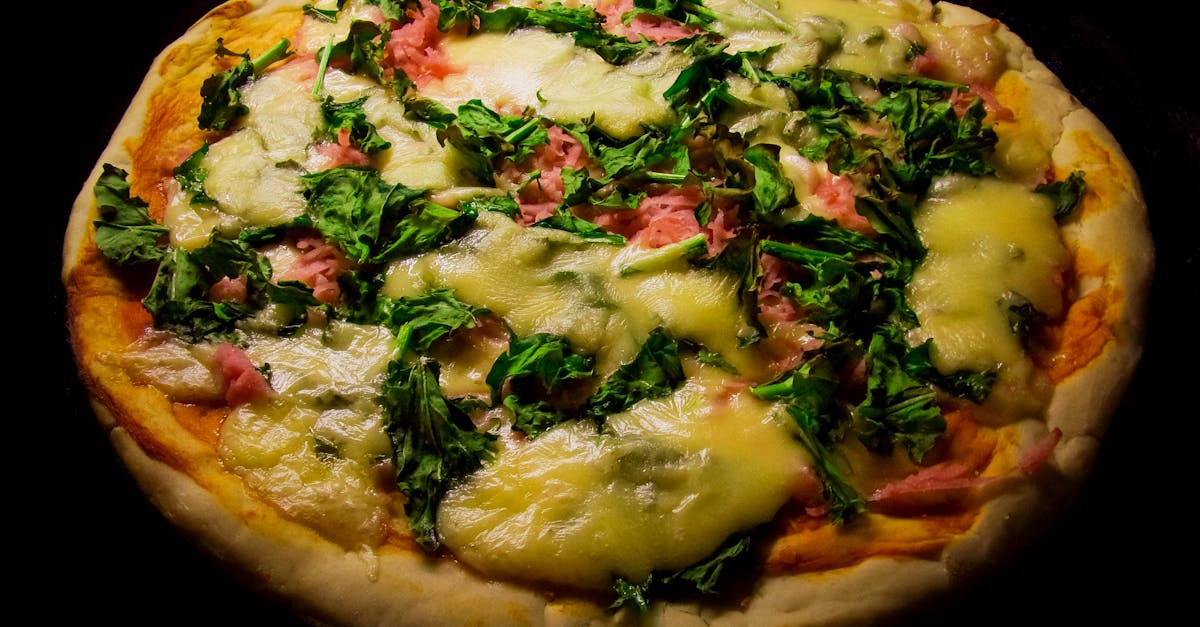 Darf dein Hund Mozzarella essen? Wir klären auf! Hundebande