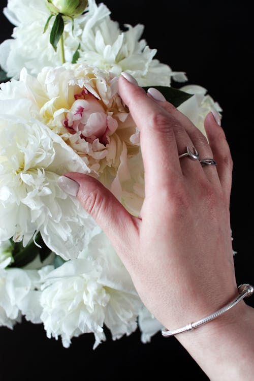 Gratis lagerfoto af armbånd, blomster, hånd Lagerfoto