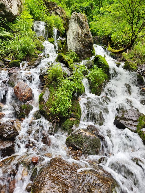 Free stock photo of cold, waterfall