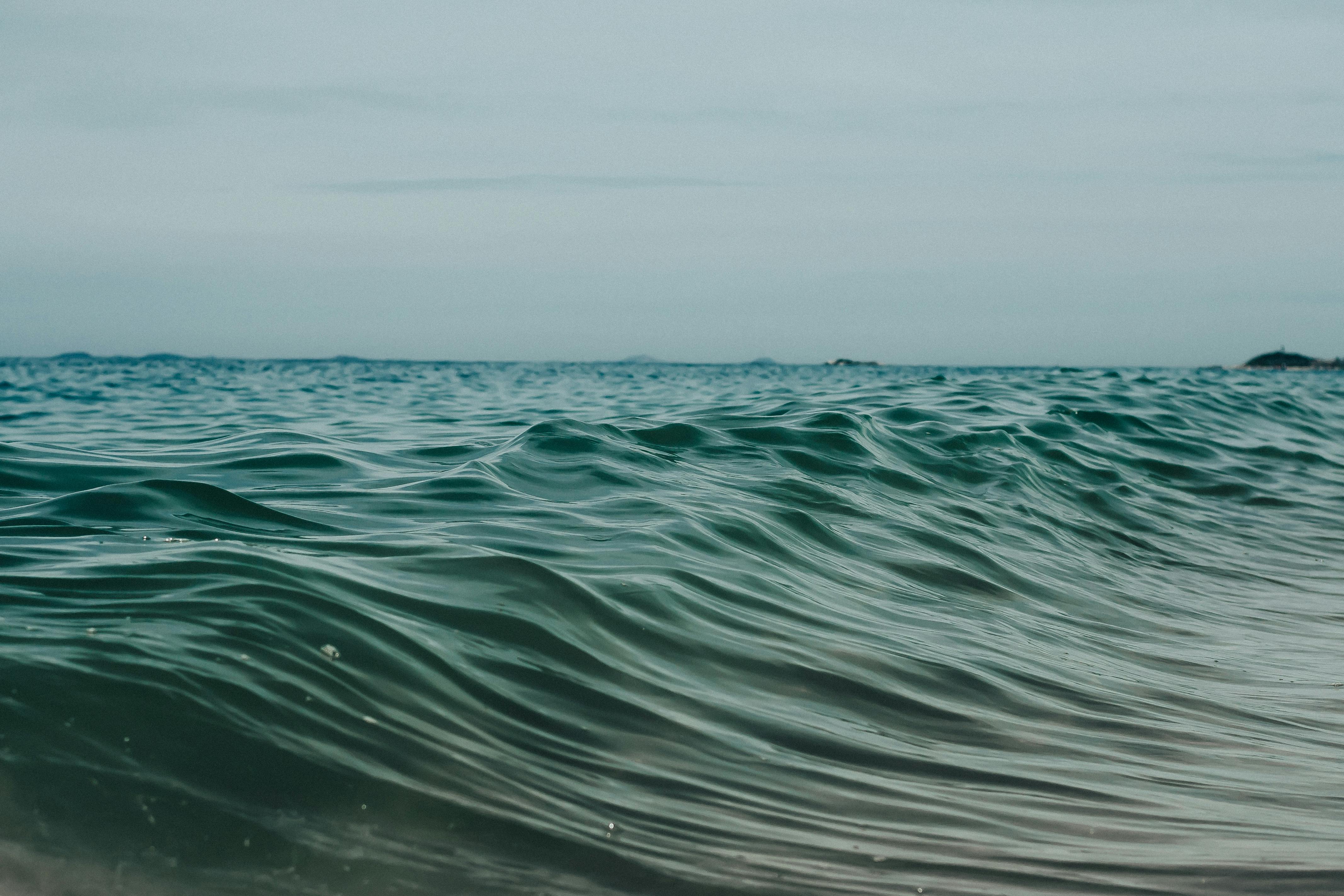 climate resilience, sea level rise, drought mitigation, ecosystem restoration, climate policy, Climate adaptation — Photo by 
