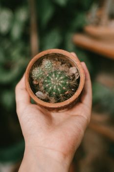 手拿一个小陶罐，里面种着仙人掌植物，非常适合花园和自然主题