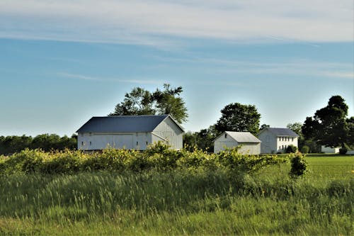 White and Gray Buildings on Green Grass Field Under Blue Sky
