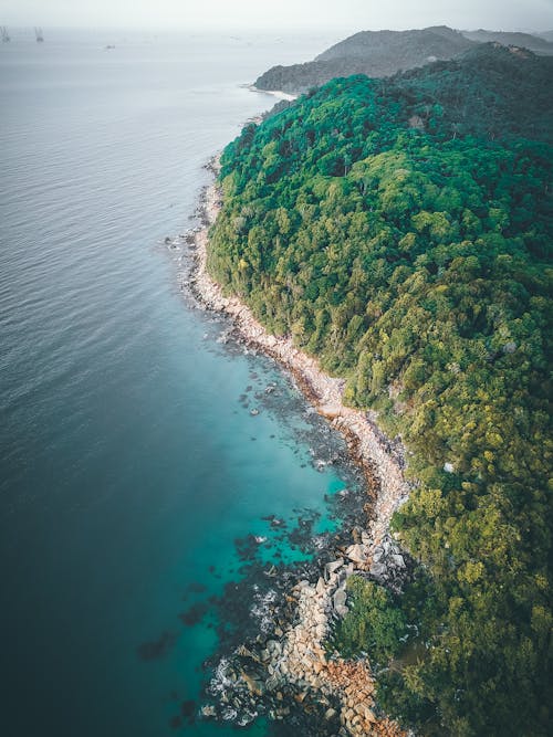 Bird's Eye View Of Seashore