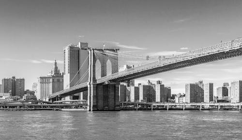 Základová fotografie zdarma na téma brooklynský most, new york