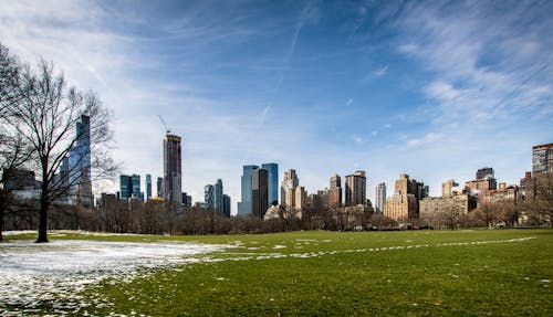 Foto profissional grátis de arranha-céu, central park, céu azul