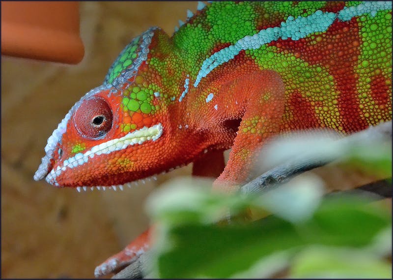 Supreme Court building in Washington DC