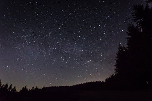 Foto profissional grátis de escuro, estrelas, floresta