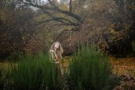 一名妇女闭着眼睛，站在秋叶环绕、植物高大的郁郁葱葱森林中