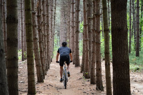 Gratis Immagine gratuita di alberi, ambiente, andando in mountain bike Foto a disposizione
