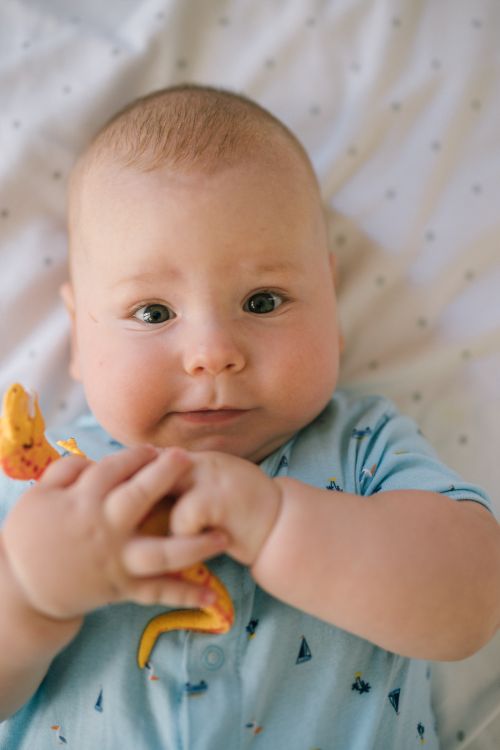 Free Cute baby holding a toy dinosaur while lying on a patterned blanket, expressing innocence and playfulness. Stock Photo