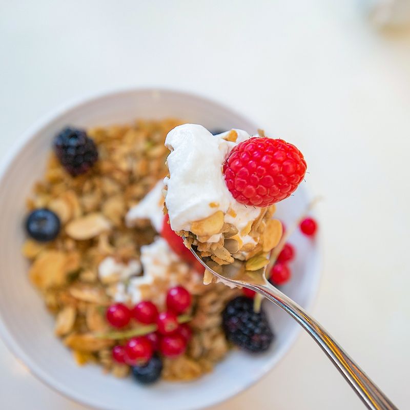 Honey-Sweetened Sheep's Milk Yogurt with Granola and Candied Lemon Peel