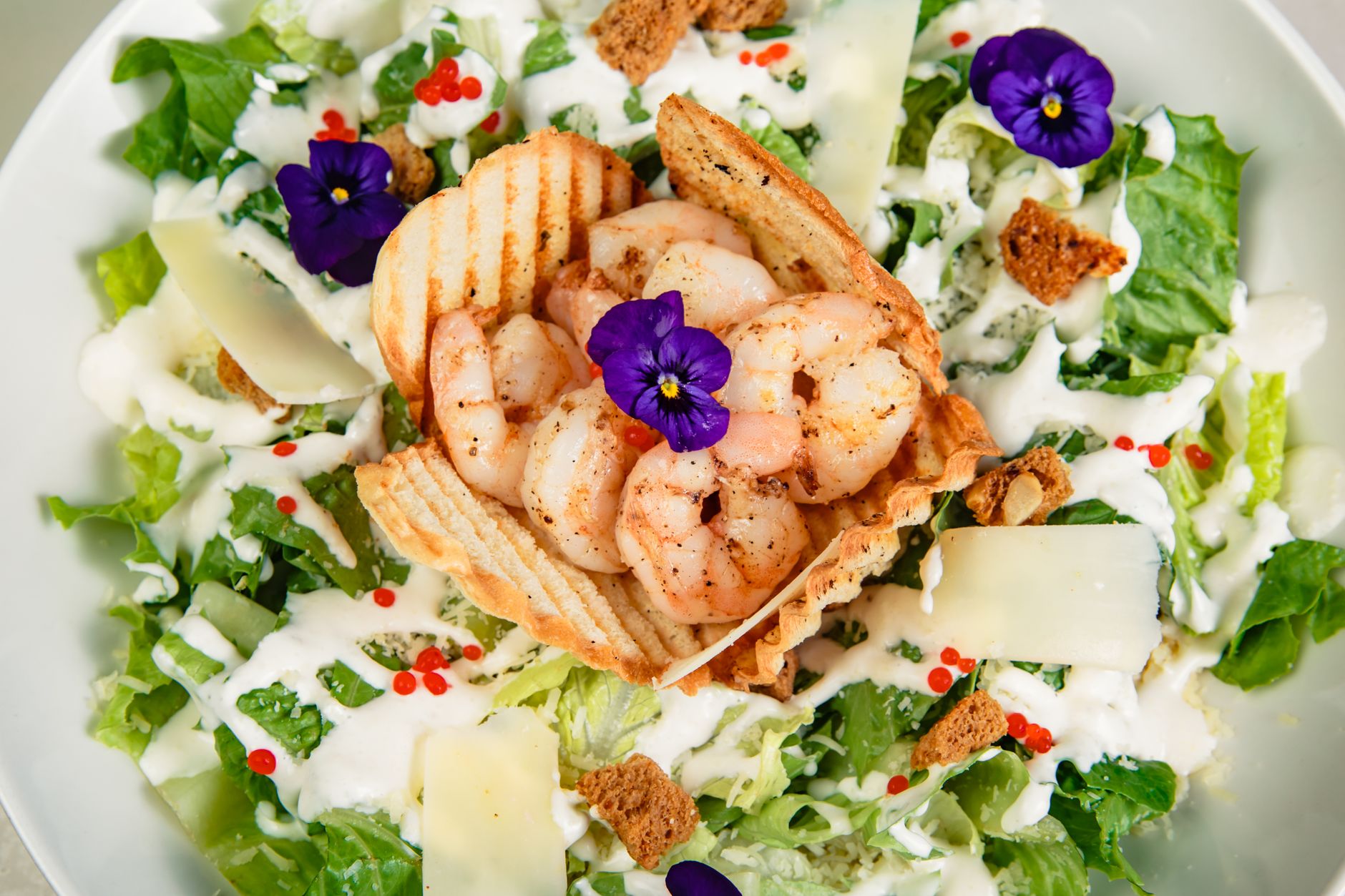 Caesar‘s Little Toasted Gem salad served on a plate