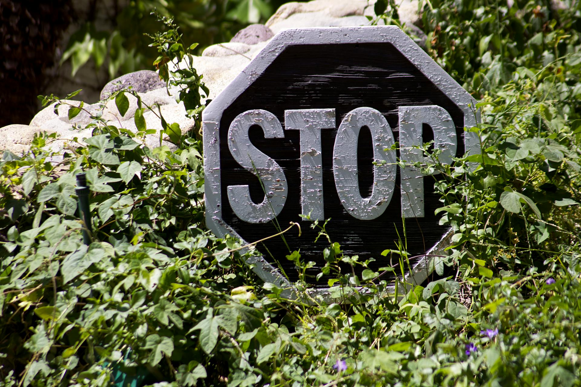 A faded stop sign surrounded by lush greenery, capturing nature's reclaiming of urban elements.