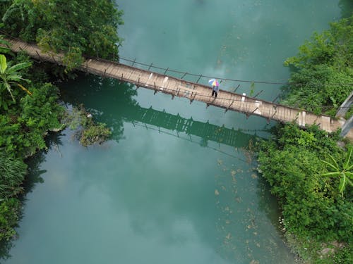 Aerial view of person with umbrella crossing river on suspension footbridge over river flowing among lush rainforest