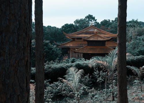 Foto stok gratis азиатская архитектура, буддийский монастырь, вьетнам