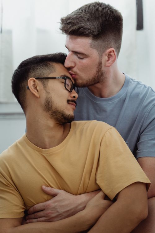 Free Interracial gay couple sharing a tender kiss indoors, embodying love and intimacy. Stock Photo