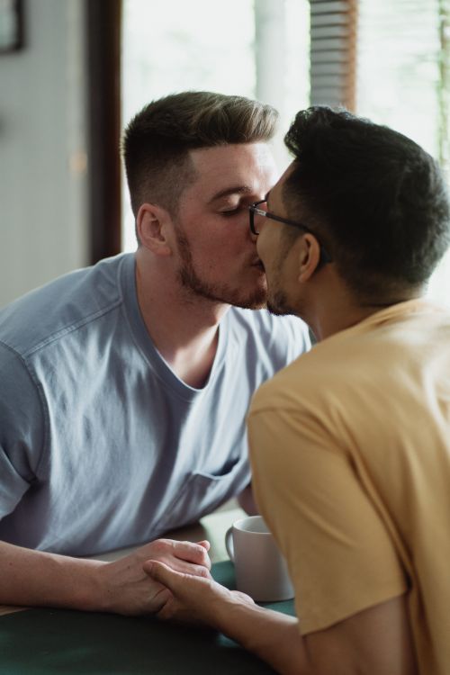 Free A loving moment of an interracial same-sex couple sharing an intimate kiss indoors. Stock Photo