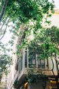 郁郁葱葱的绿叶构成了城市建筑迷人的立面，环境宁静