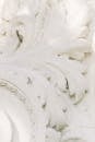 Detailed Leaves Made of White Concrete Plaster