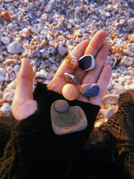 以海滩为背景，日落时分拍摄的一只手拿着各种贝壳的特写