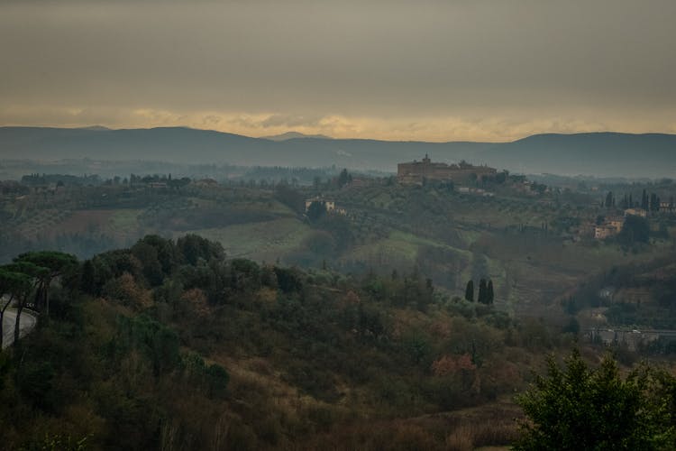 Wide Shot Of A Land Full Of Trees