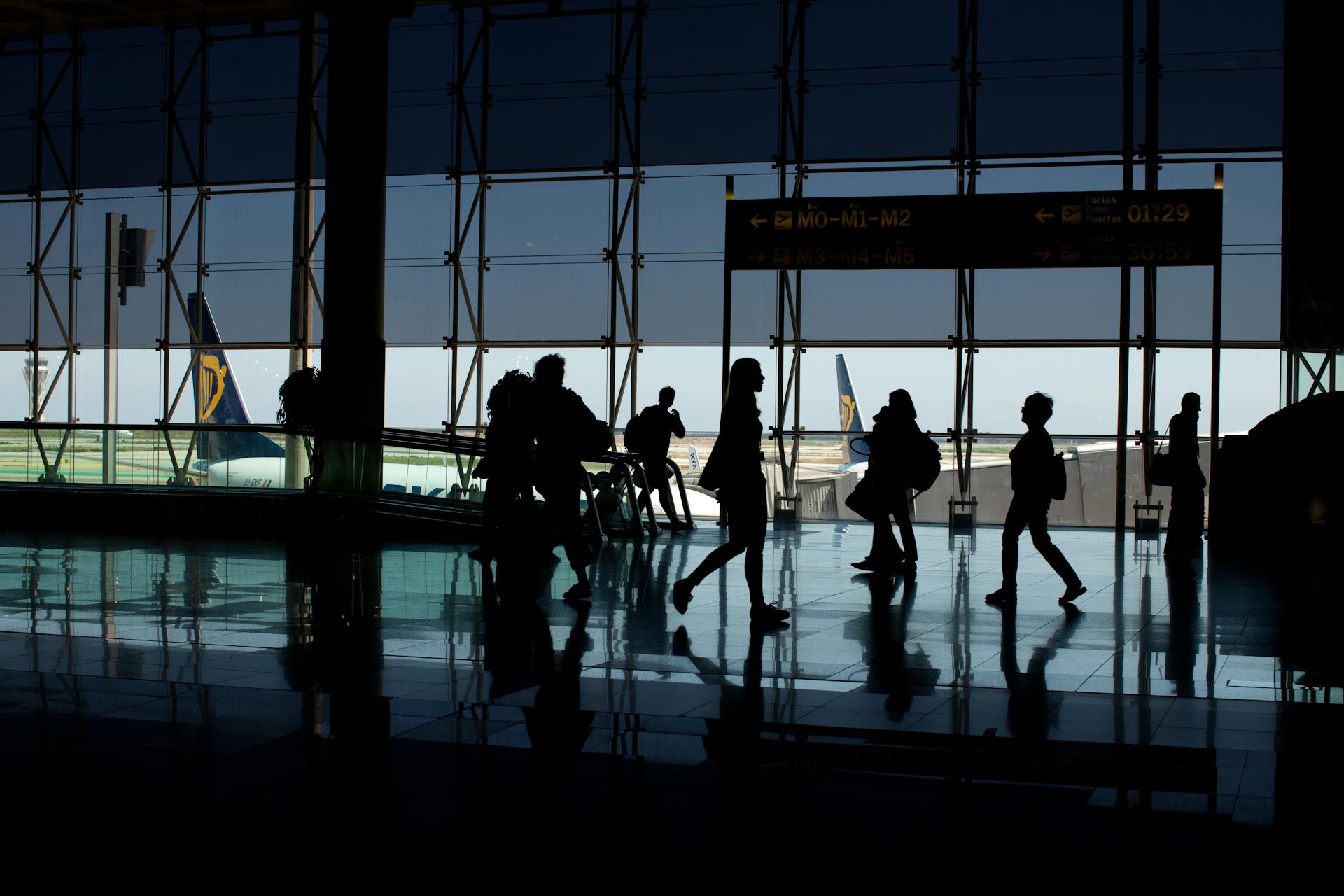 Silhouette of People at the Airport