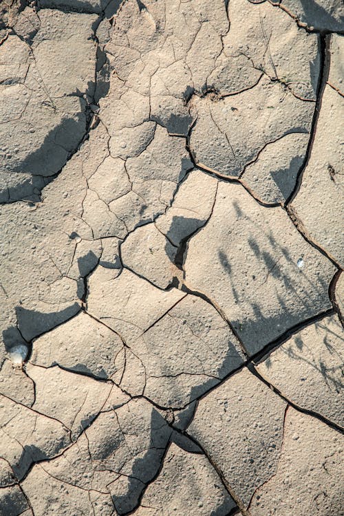 Cracked Concrete Ground
