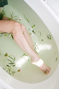 浴缸中，双腿宁静的俯视图，上面漂浮着花朵和绿叶