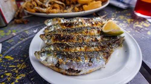 Foto profissional grátis de frutos do mar, grelhado, peixe