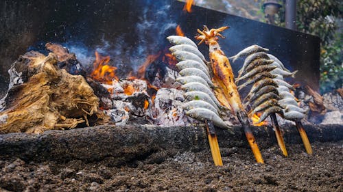 Free stock photo of fish, grill, seafood