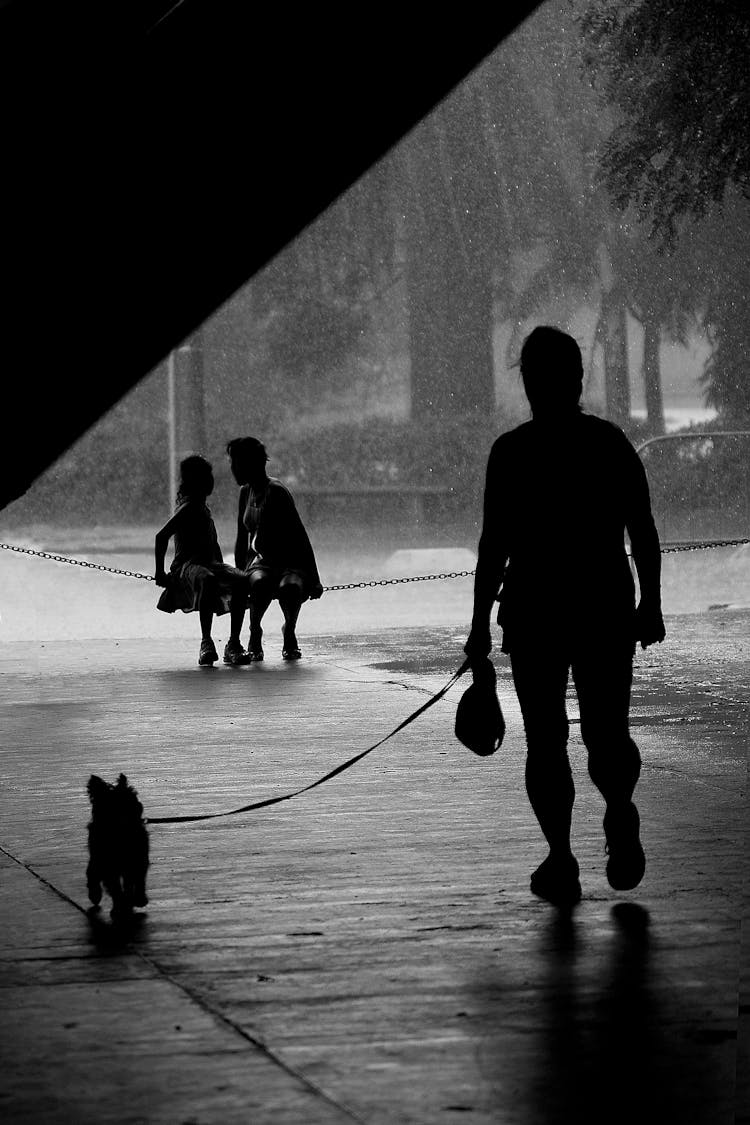 Silhouette Of Person Holding The Leash Of A Dog