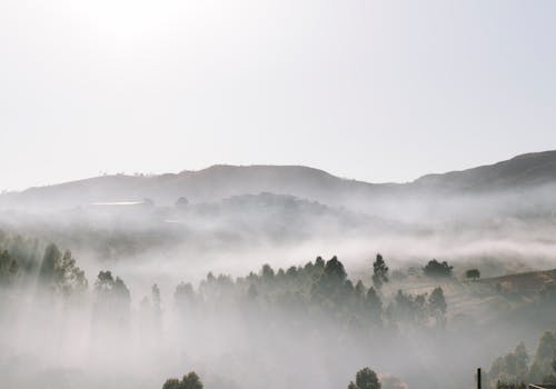 Free stock photo of brazil, earth, explore