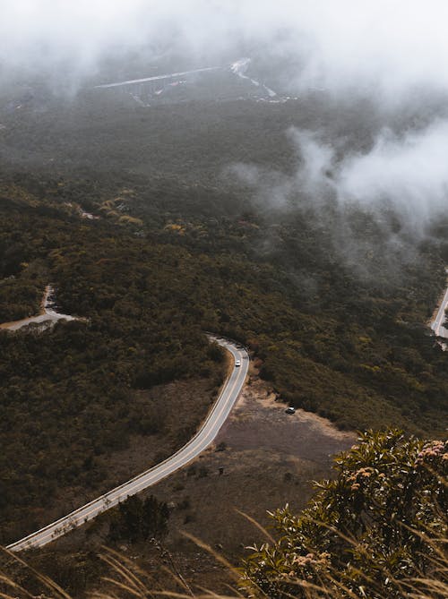 Kostnadsfri bild av Brasilien, buskar, dimma