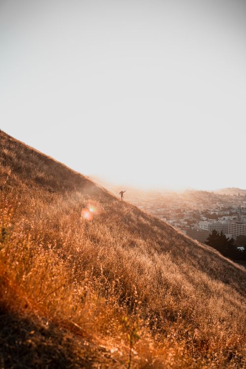 Free A solitary hiker on a sunlit hill in San Francisco, capturing adventure and natural beauty. Stock Photo