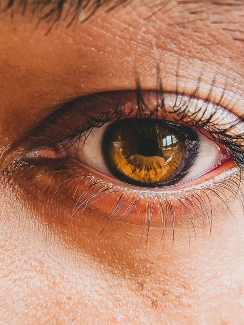 Free Close-up of a brown eye capturing detailed iris patterns and eyelashes, emphasizing vision and sight. Stock Photo