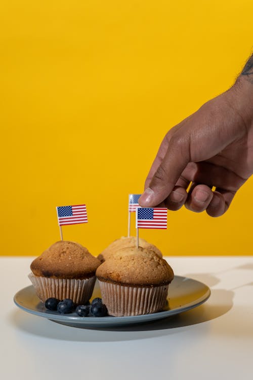 Blueberry Muffins on Plate