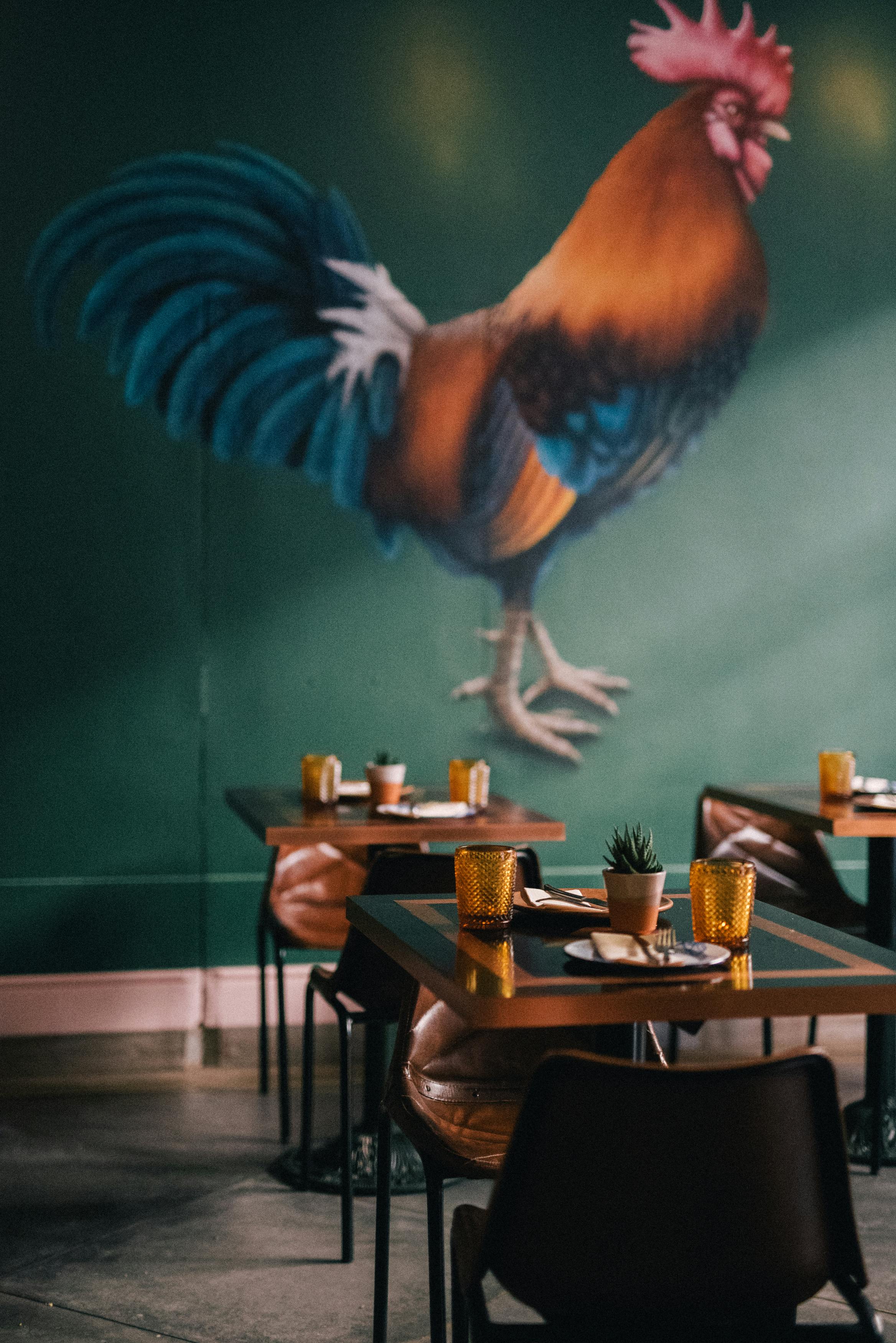 Bird Nest Restaurant Thailand Photos, Download The BEST Free Bird Nest Restaurant Thailand Stock